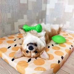 Dumbbell Dog Fetch Toy Outdoor Barbell Dog Toy for Small Medium and Large Dogs